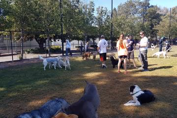 Nealon Dog Park